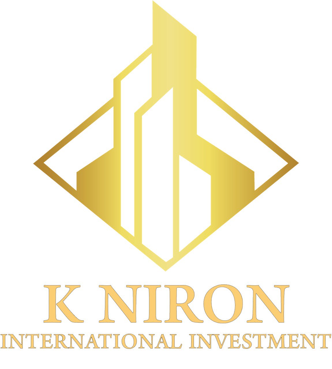 K Niron International Investment
